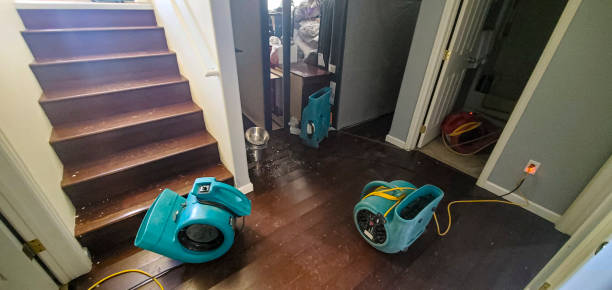 Best 24/7 water damage repair  in Sewaren, NJ