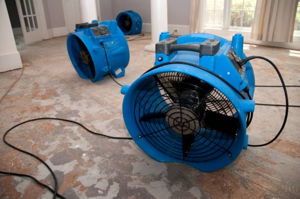 Best Flood damage cleanup  in Sewaren, NJ